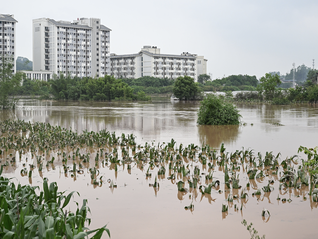 ⭐安全可靠
Gmail邮箱抗封号
买号平台推荐哪个